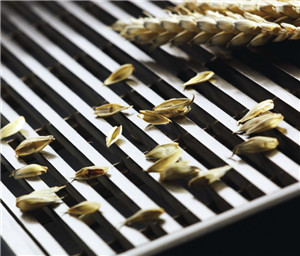 wedge wire screen for food.jpg